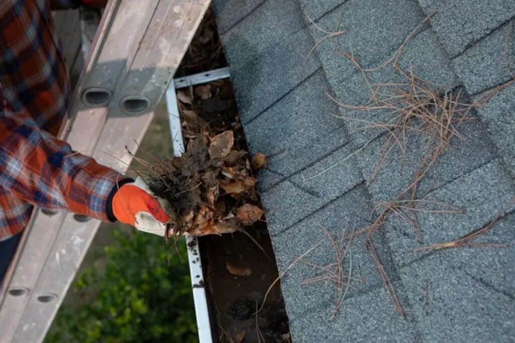 gutter guards -
